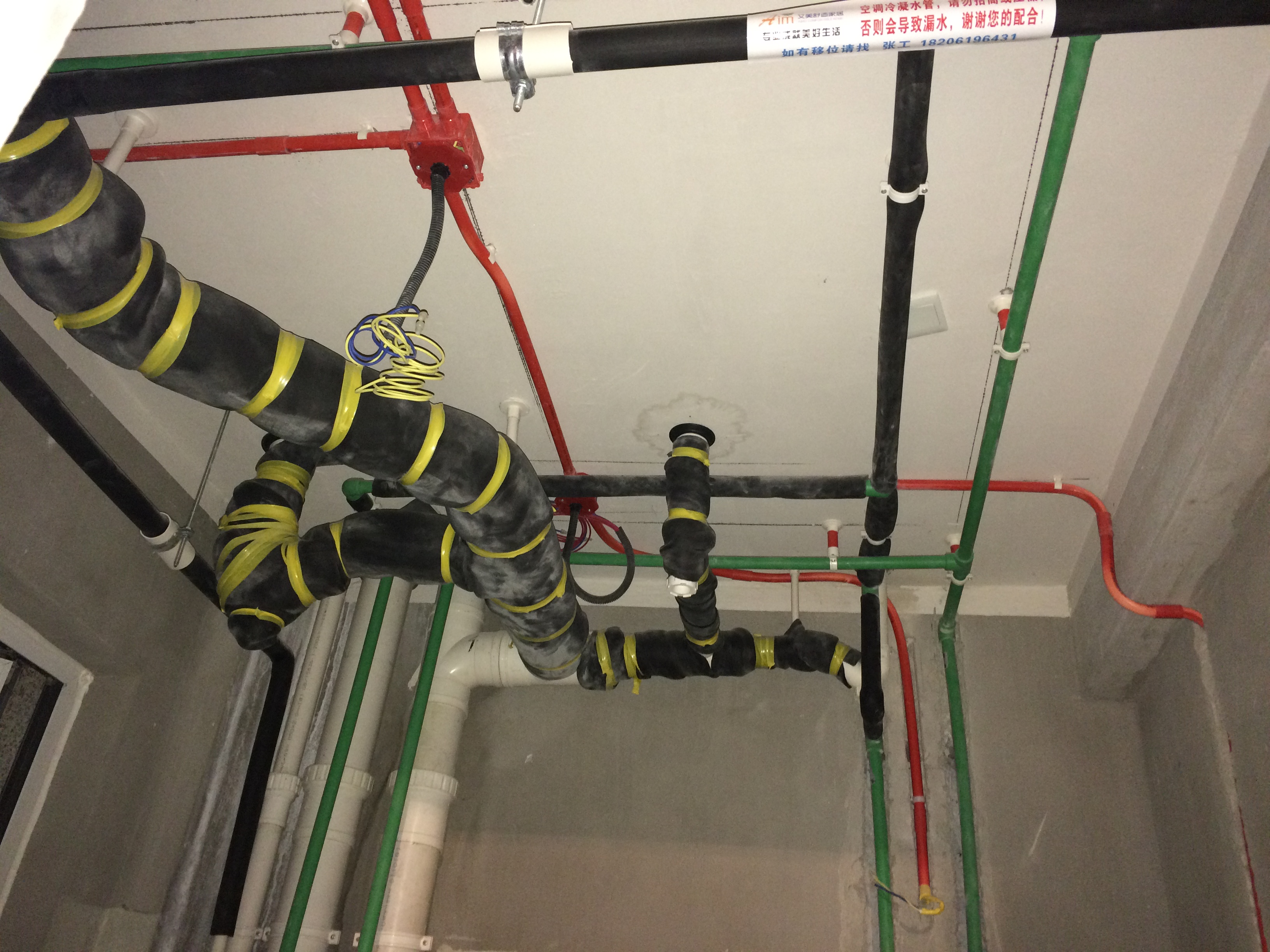 無錫紫蘋果裝飾