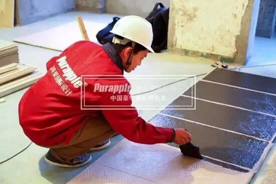 無錫紫蘋果裝飾