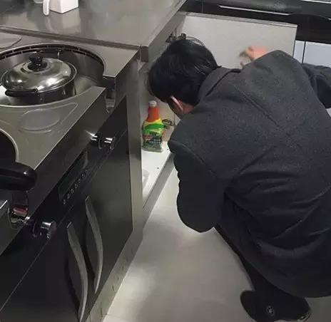 無(wú)錫紫蘋(píng)果裝飾