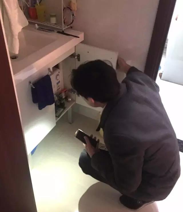 無(wú)錫紫蘋(píng)果裝飾