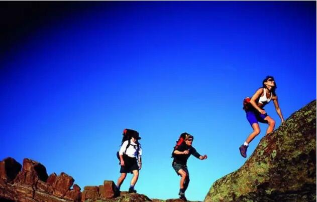 無(wú)錫紫蘋(píng)果裝飾