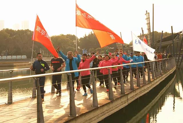 無錫紫蘋果裝飾