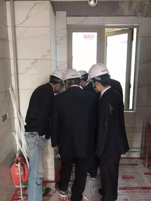 無錫紫蘋果裝飾