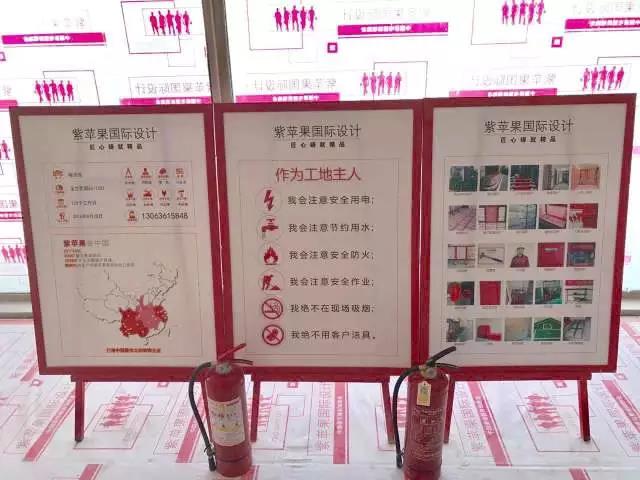 無錫紫蘋果裝飾