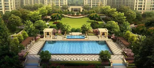 無錫紫蘋果裝飾