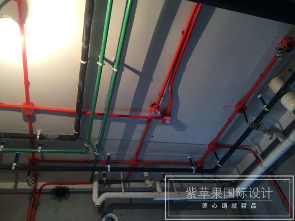 無(wú)錫紫蘋(píng)果裝飾