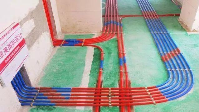 無錫紫蘋果裝飾