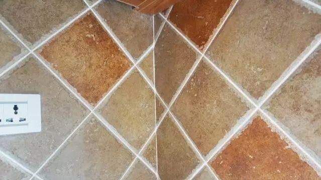 無錫紫蘋果裝飾