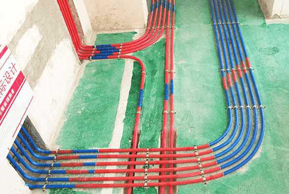 無錫紫蘋果裝飾