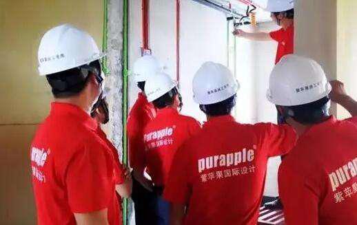 無(wú)錫紫蘋(píng)果裝飾