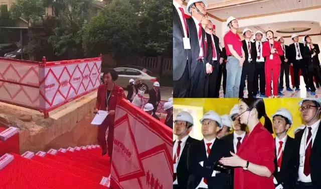 無錫紫蘋果裝飾