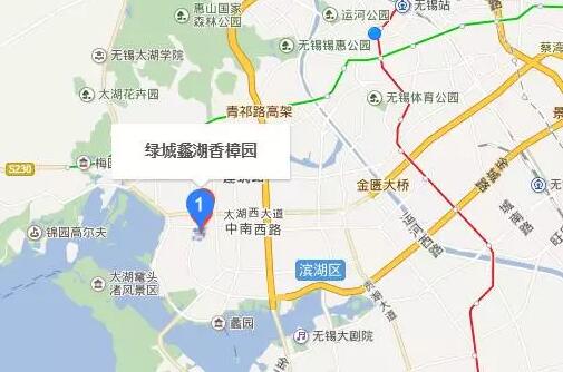 無(wú)錫紫蘋(píng)果裝飾