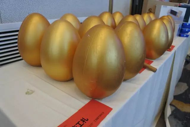 無錫紫蘋果裝飾