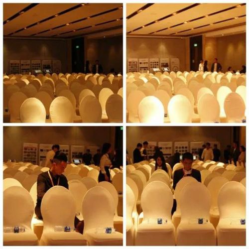 無錫紫蘋果裝飾