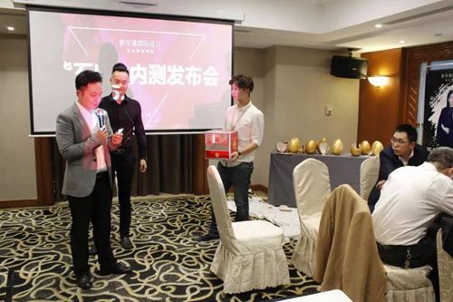 無錫紫蘋果裝飾