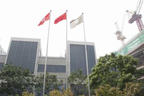 無錫紫蘋果裝飾