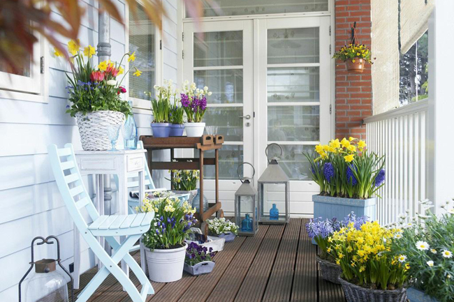 陽臺變大花園 陽臺變大花園